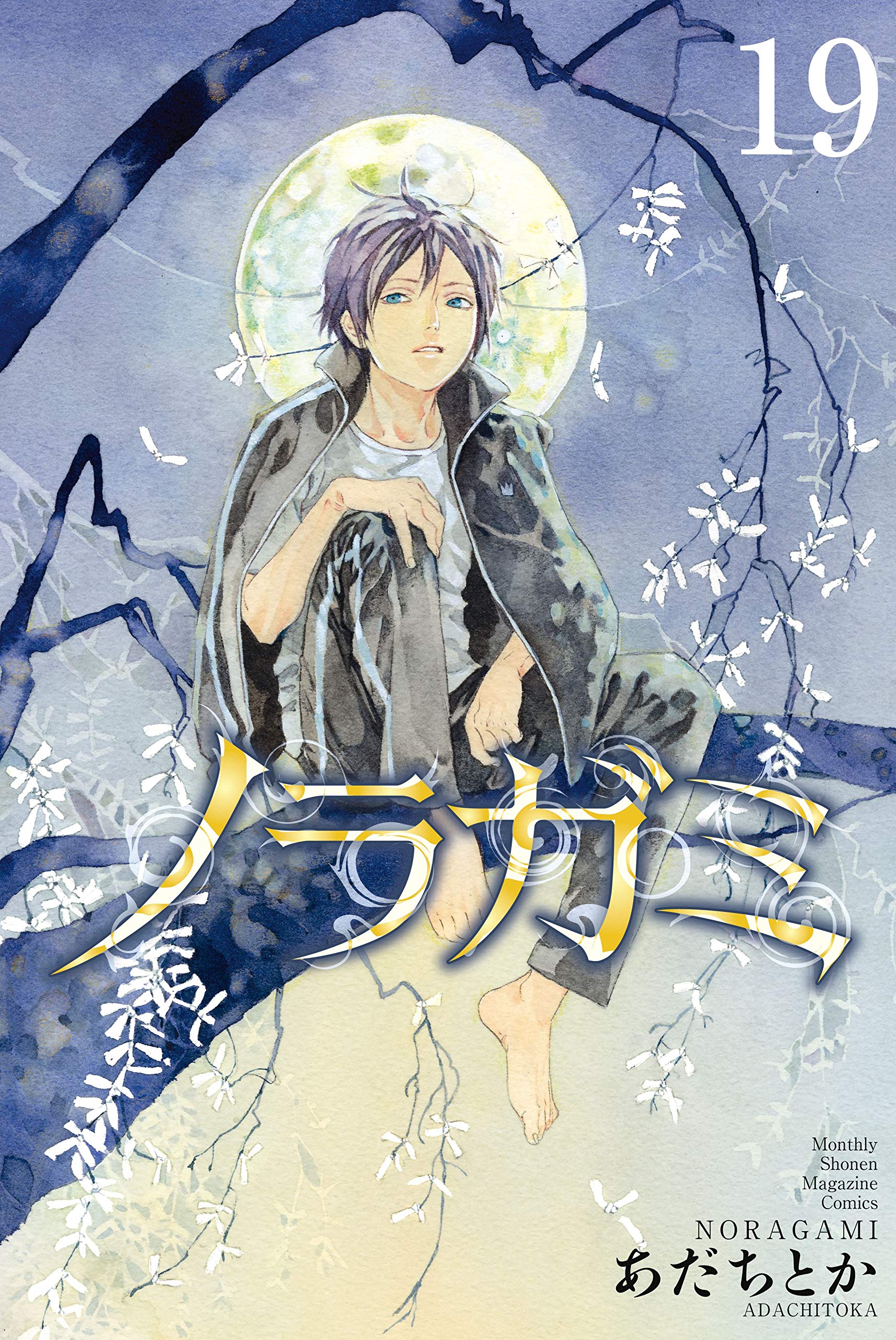 1712x2560 Noragami Volume 19 Cover Manga - Noragami Watercolor