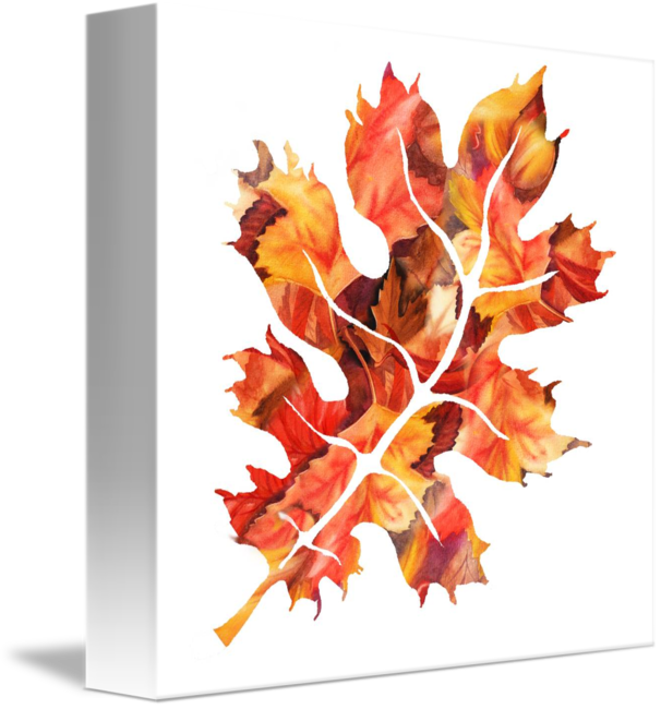 606x650 Fall Oak Leaf Watercolor Silhouette By Irina Sztukowski - Oak Leaf Watercolor