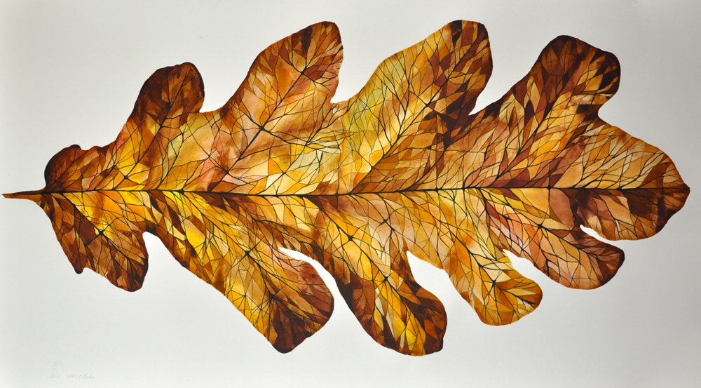 1000x553 Idoline Duke Artist - Oak Leaf Watercolor