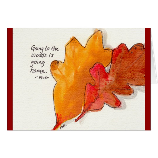 540x540 John Muir Watercolor And Ink Oak Leaves - Oak Leaf Watercolor