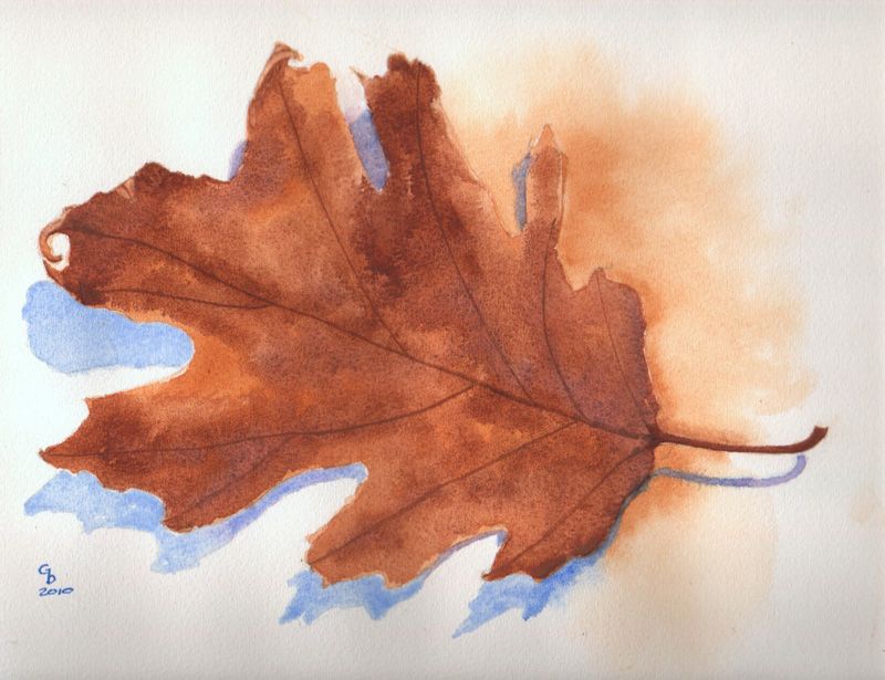 800x615 A Watercolor Journey Oak Leaf - Oak Leaf Watercolor