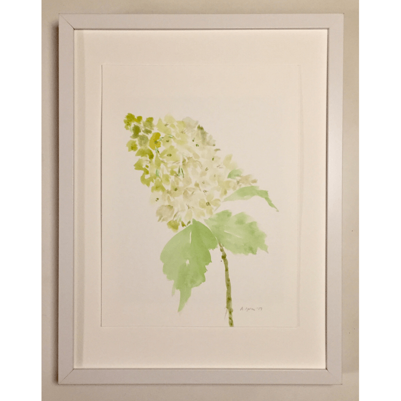 800x800 Oakleaf Hydrangea In Greens, Original Watercolor Painting - Oak Leaf Watercolor