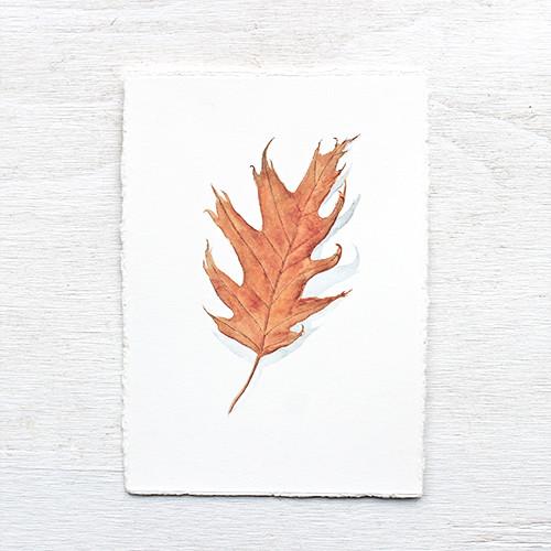 500x500 Original Watercolor - Oak Leaf Watercolor