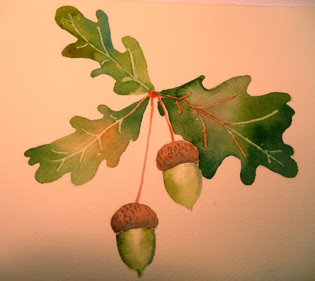 640x570 An Artist Labyrinth Ginny Stiles Czt The Oak Leaf Commission - Oak Leaf Watercolor