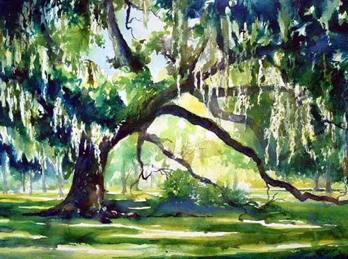500x373 Live Oak Tree Watercolor Painting By Jennifer Branch Watercolor - Oak Watercolor