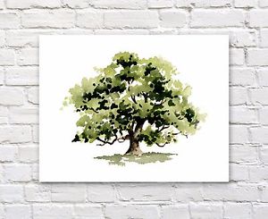 300x245 Oak Tree Watercolor Painting Art Print By Artist Djr Ebay - Oak Watercolor