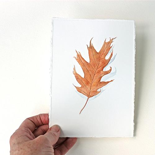 500x500 Original Watercolor - Oak Watercolor