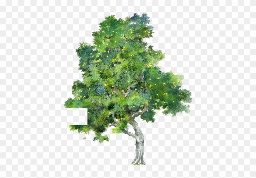 840x584 Tree Watercolor Painting - Oak Watercolor