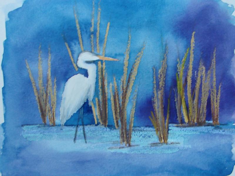 800x601 Great White Egret - Oil And Watercolor Painting