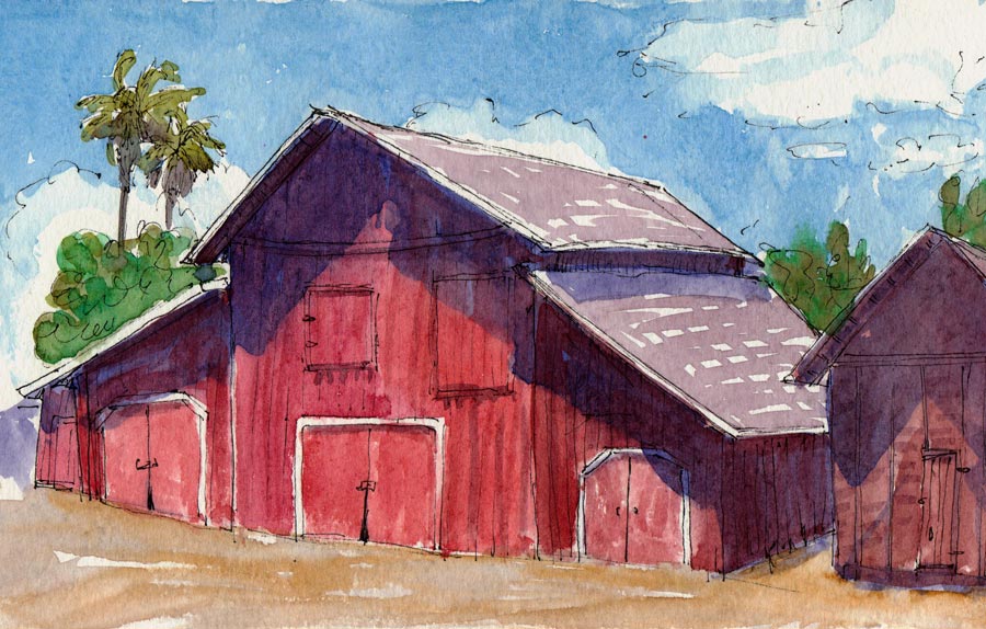 900x574 Ruth Bancroft Gardens Old Barn, Ink And Watercolor, Jana - Old Barn Watercolor Paintings