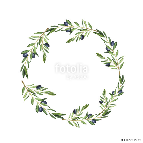 500x500 Olive Tree Wreath Painted By Watercolor. Design For Menu, Wedding - Olive Branch Watercolor