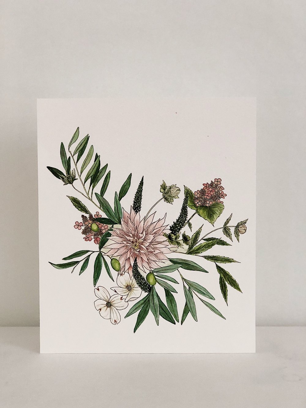 1000x1333 Watercolor Dahlia + Olive Branch Esther Clark Illustration - Olive Branch Watercolor