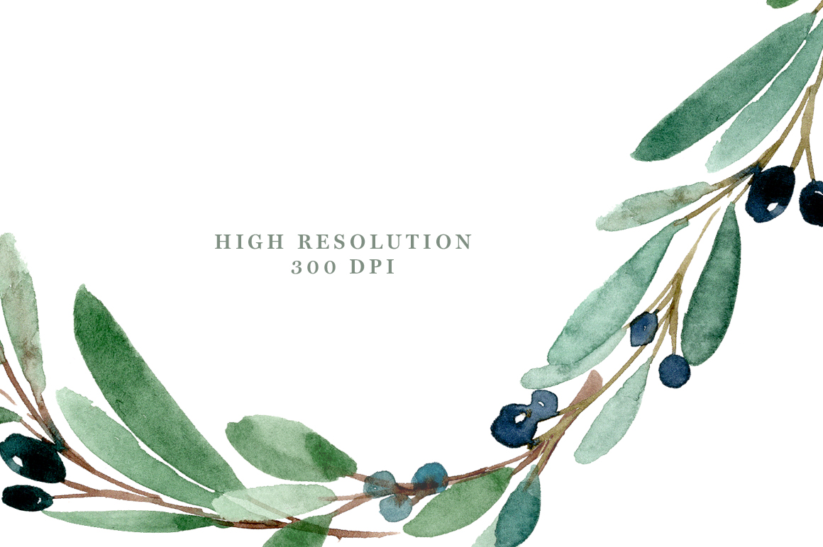 1160x772 Watercolor Olive Branch Clipart, Olive Leaves Wreath, Leaf Clipart - Olive Branch Watercolor