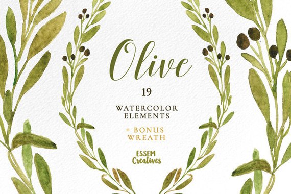 570x380 Watercolor Olive Branch Clipart Leaves Clipart Green Etsy - Olive Branch Watercolor