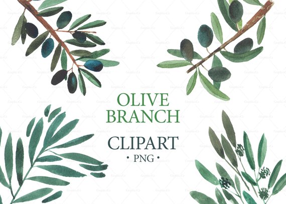 570x407 Watercolor Olive Branch Clipart Wedding Clipart Logo Etsy - Olive Branch Watercolor
