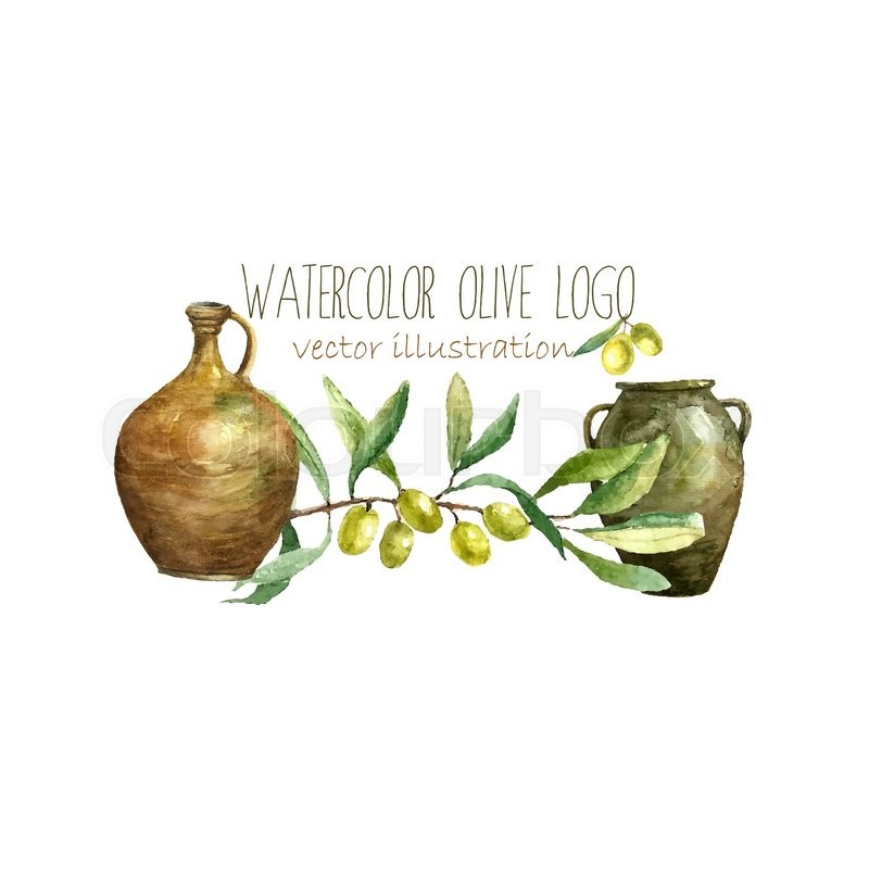 800x800 Watercolor Artistic Olive Branch And Clay Pots Logo. Hand Drawn - Olive Branch Watercolor