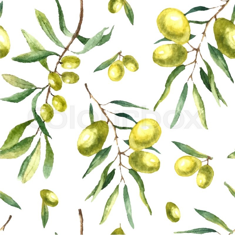 800x800 Watercolor Olive Branch Seamless Pattern. Hand Drawn Floral - Olive Branch Watercolor