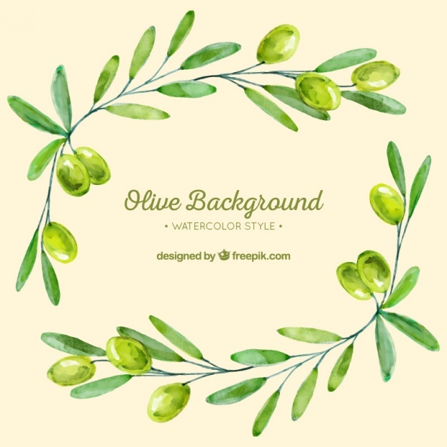 626x626 Olive Branch Vectors, Photos And Psd Files Free Download - Olive Branch Watercolor
