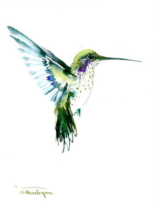 532x700 Flying Hummingbird Olive Green Watercolor Art, 12 X 9 In - Olive Green Watercolor