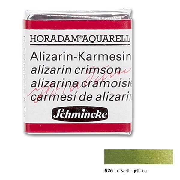 600x600 Horadam Watercolor 12 Pan Olive Green Yellowish - Olive Green Watercolor