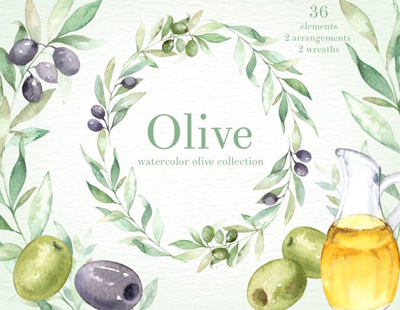 570x442 Olive Watercolor Clipart Green Leaf Hand Painting Olive Etsy - Olive Watercolor