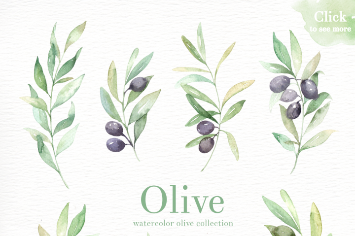 720x479 Olive Watercolor Clipart By Everysunsun - Olive Watercolor