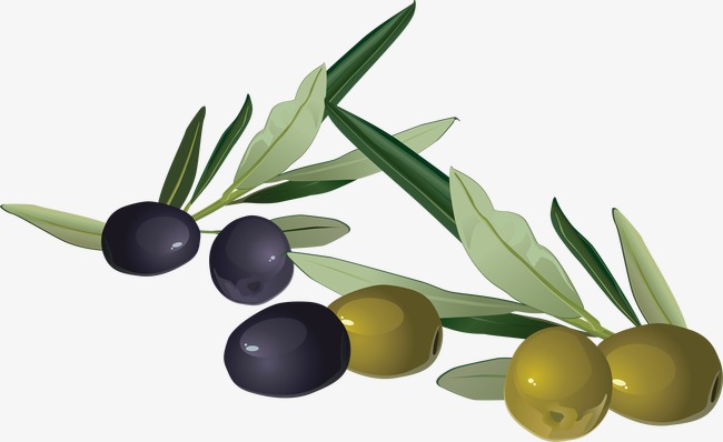 650x398 Olive Watercolor Materials, Watercolor Clipart, Olives, Food Png - Olive Watercolor
