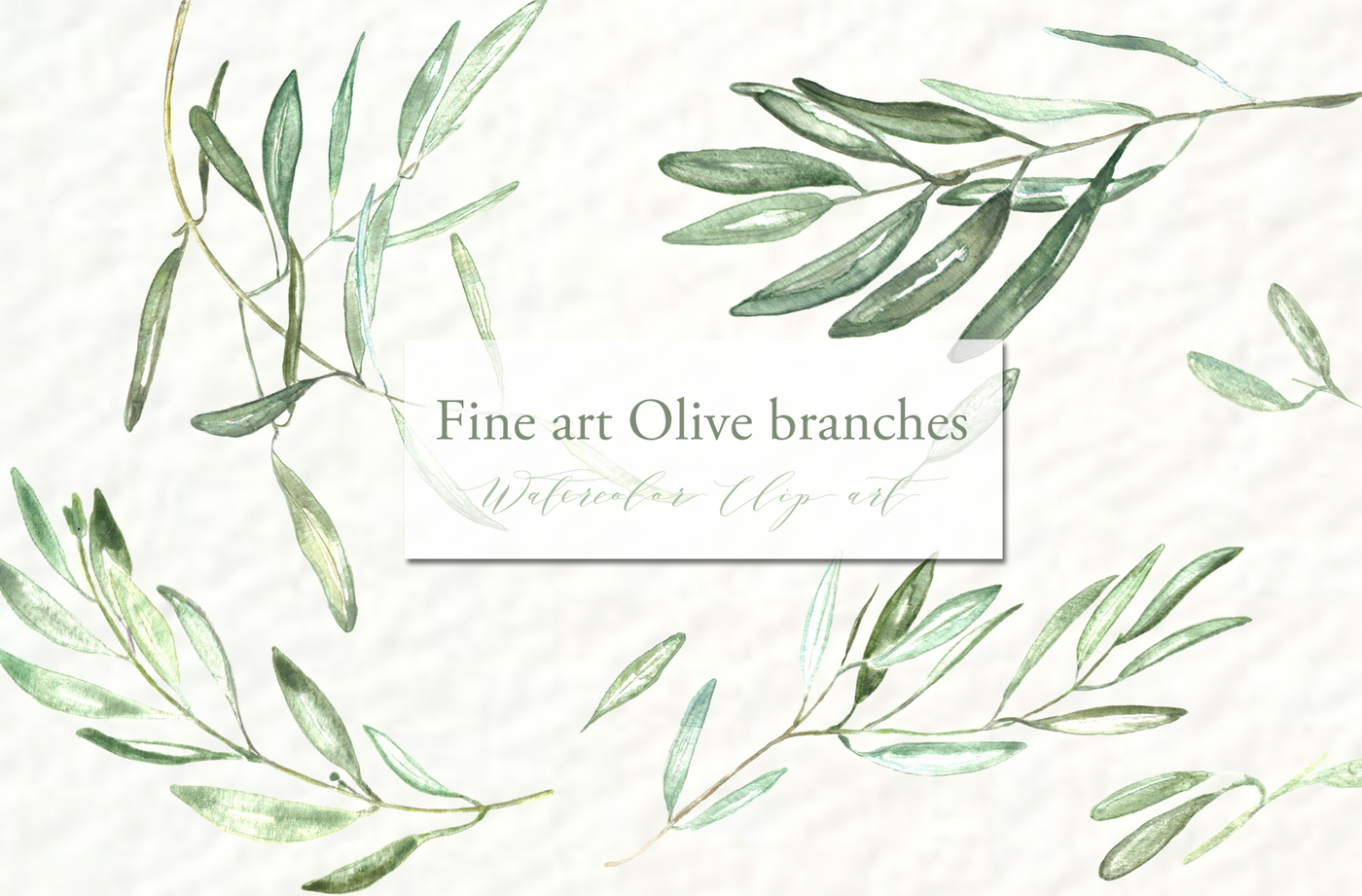 1400x921 Olive Branches. Watercolor Clipart. By Labfcreations - Olive Watercolor