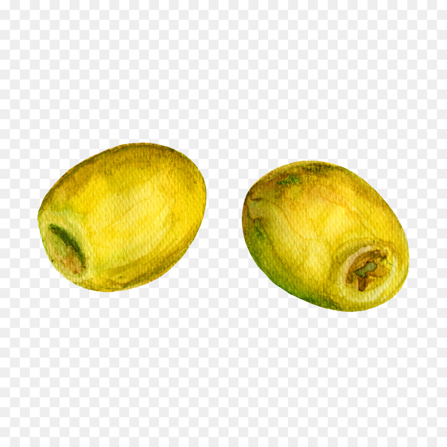 900x900 Olive Oil Watercolor Painting - Olive Watercolor