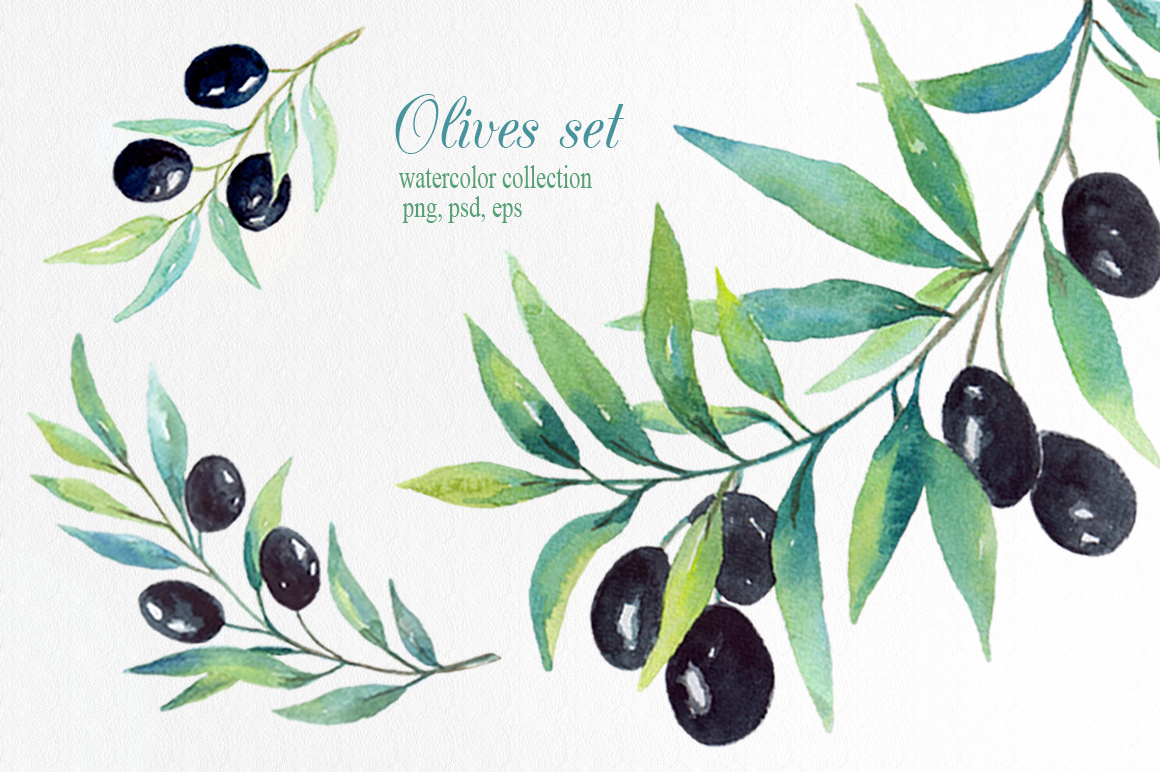 1160x772 Olive Set. Watercolor Collection. - Olive Watercolor