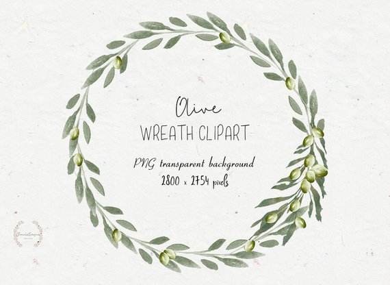 570x416 Olive Wreath Olive Clipart Watercolor Olive Watercolor Etsy - Olive Watercolor