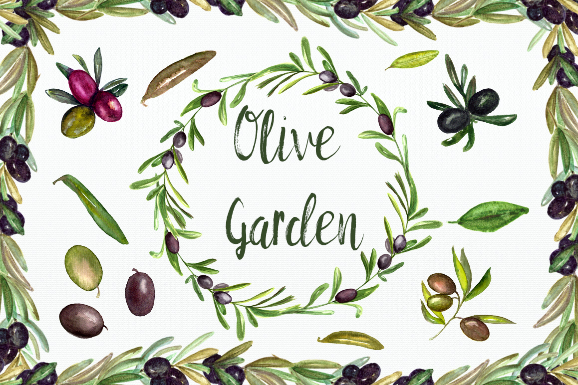 1158x772 Watercolor Olive Garden Clip Art Set + Wreath Amp Border - Olive Watercolor