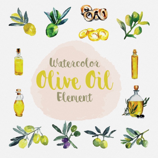 626x626 Watercolor Olive Vectors, Photos And Psd Files Free Download - Olive Watercolor