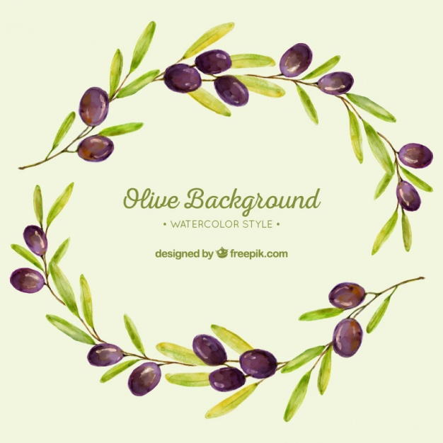 626x626 Watercolor Background Of Olive Branches Vector Free Download - Olive Watercolor
