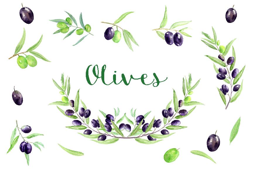 864x576 Watercolor Olive Clipart, Olive Illustration Instant Download - Olive Watercolor