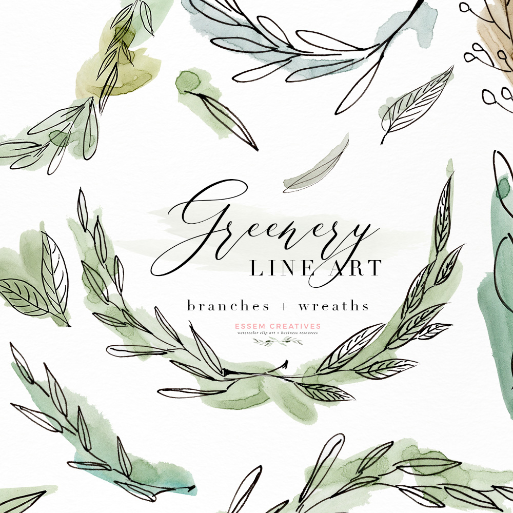 1000x1000 Greenery Line Art Watercolor Clipart, Olive Eucalyptus Branches - Olive Watercolor