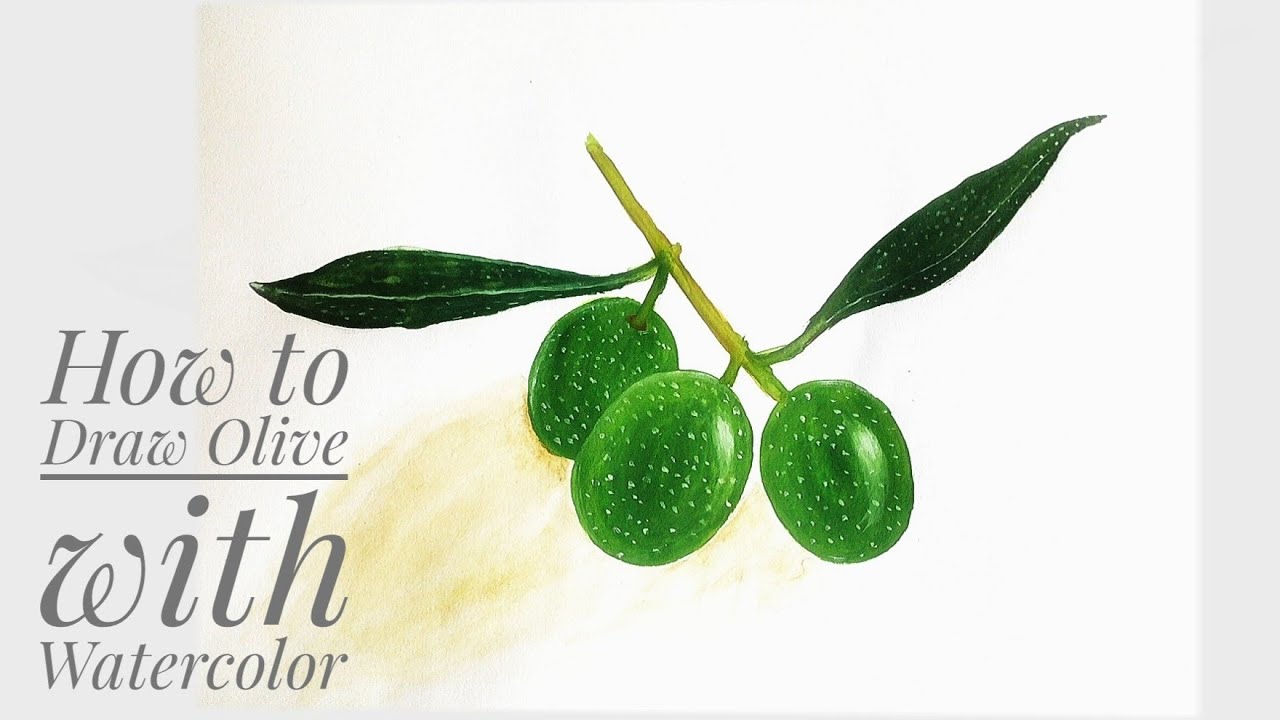 1280x720 How To Draw Olive With Watercolor - Olive Watercolor