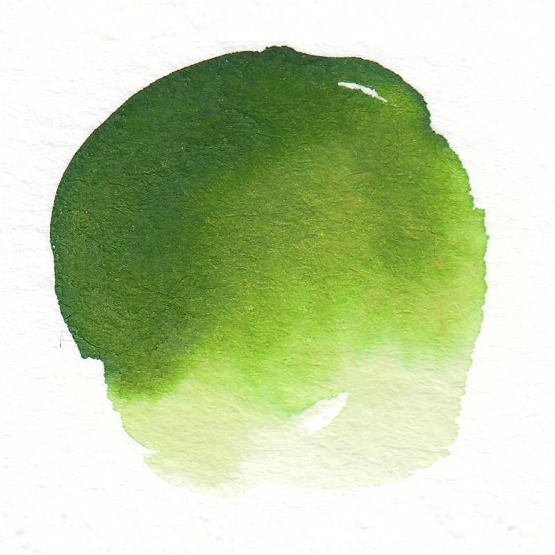 800x800 Olive Green 25b - Olive Watercolor
