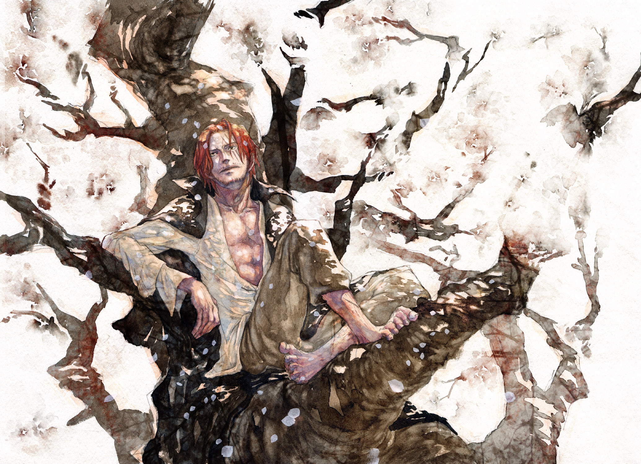 2069x1500 Shanks - One Piece Watercolor