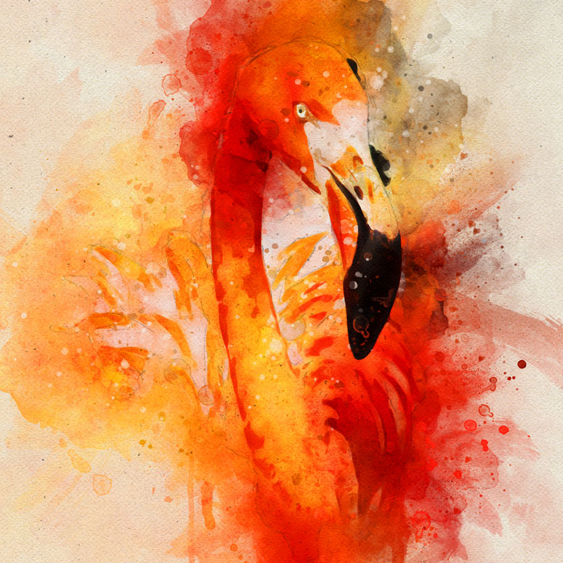 805x805 The Orange Watercolor Fx Photo Effect - Orange Watercolor