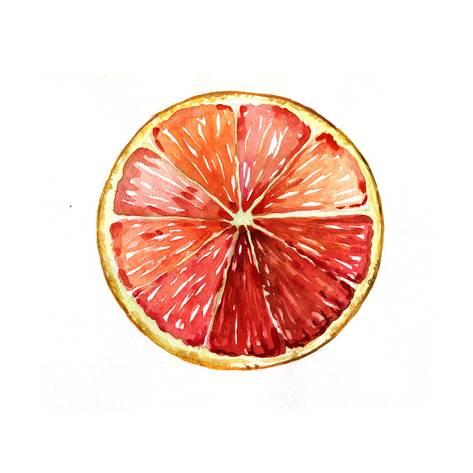 473x473 Grapefruit Orange Red Watercolor Art By Irynapotapenko - Orange Watercolor