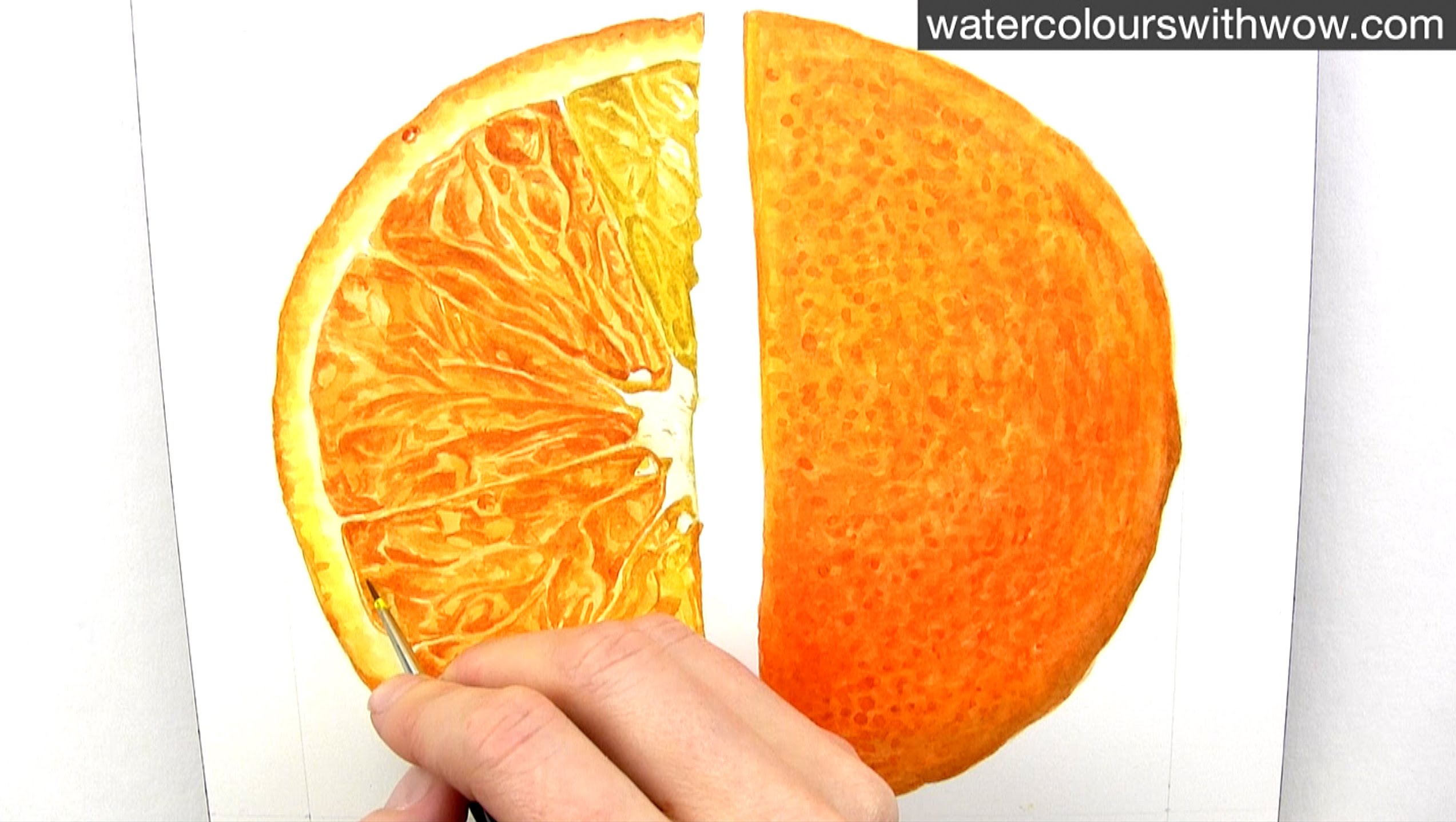 2546x1437 How To Paint A Realistic Juicy Orange Slice In Watercolour With - Orange Watercolor