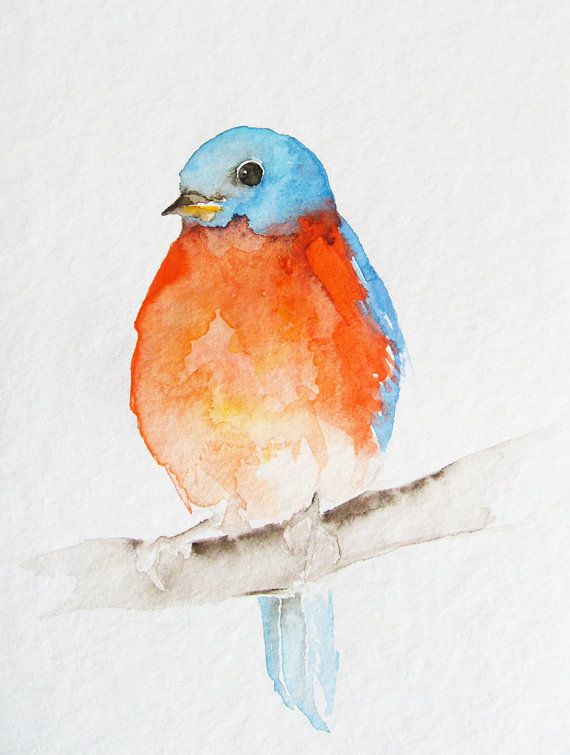 570x755 Little Orange And Blue Bird - Orange Watercolor Painting
