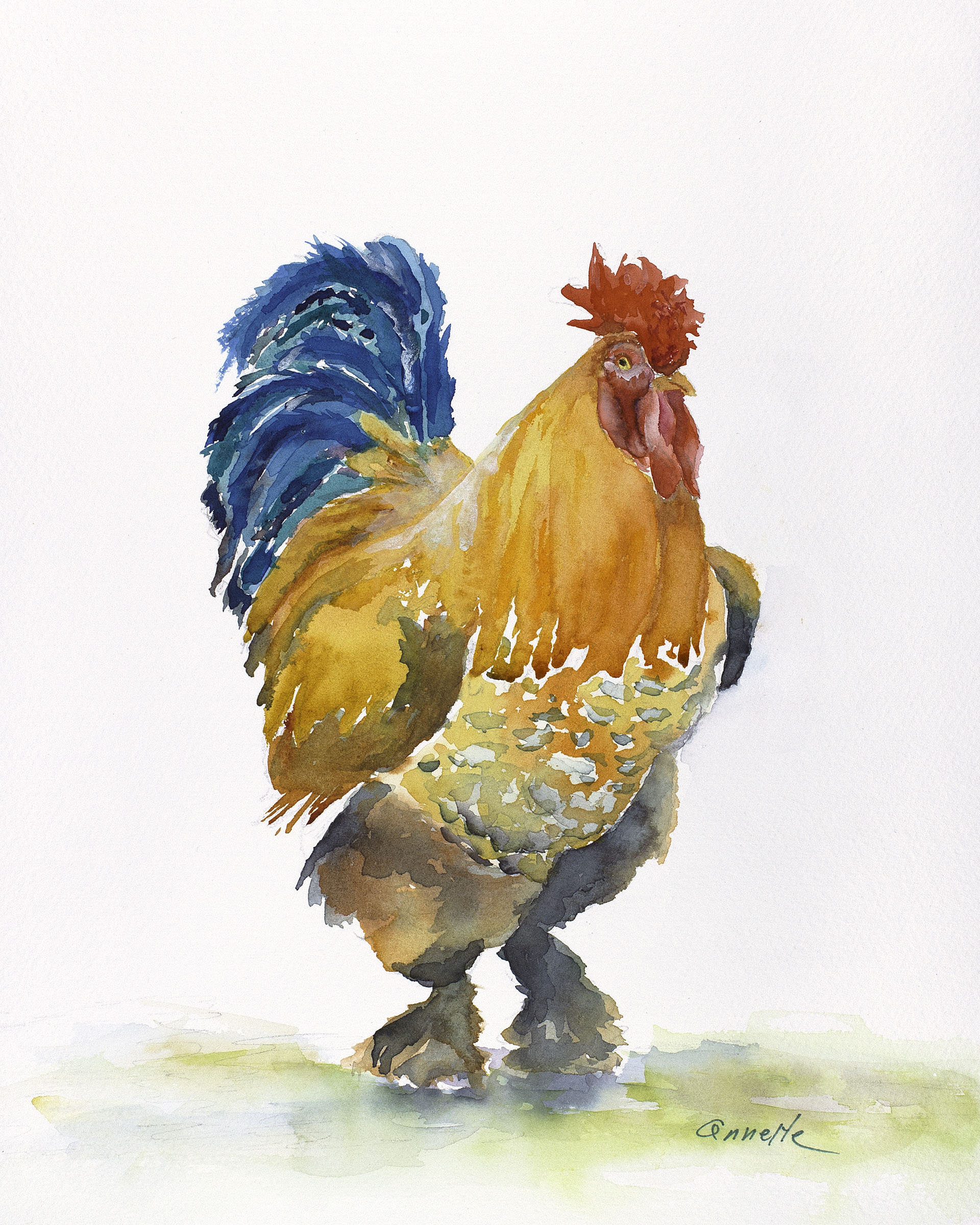 1920x2400 Rooster Search Results Annette Bennett Watercolor Art - Orange Watercolor Painting