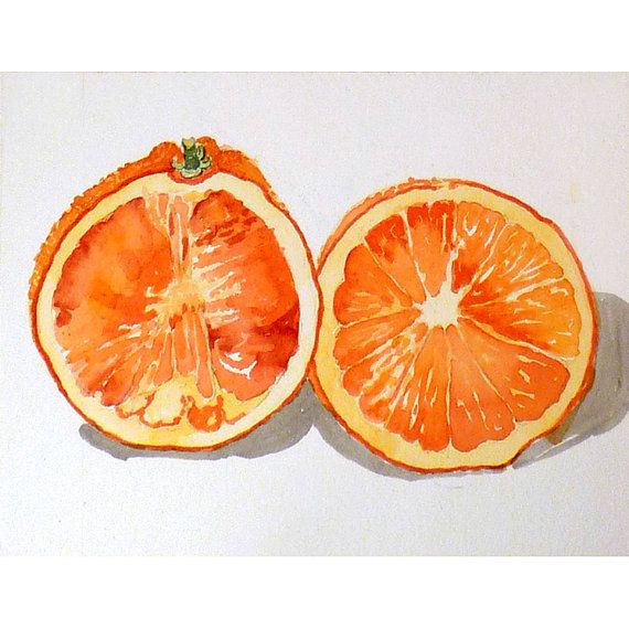 570x570 195 Best Fruit Art Images Watercolor Techniques, To - Orange Watercolor Painting