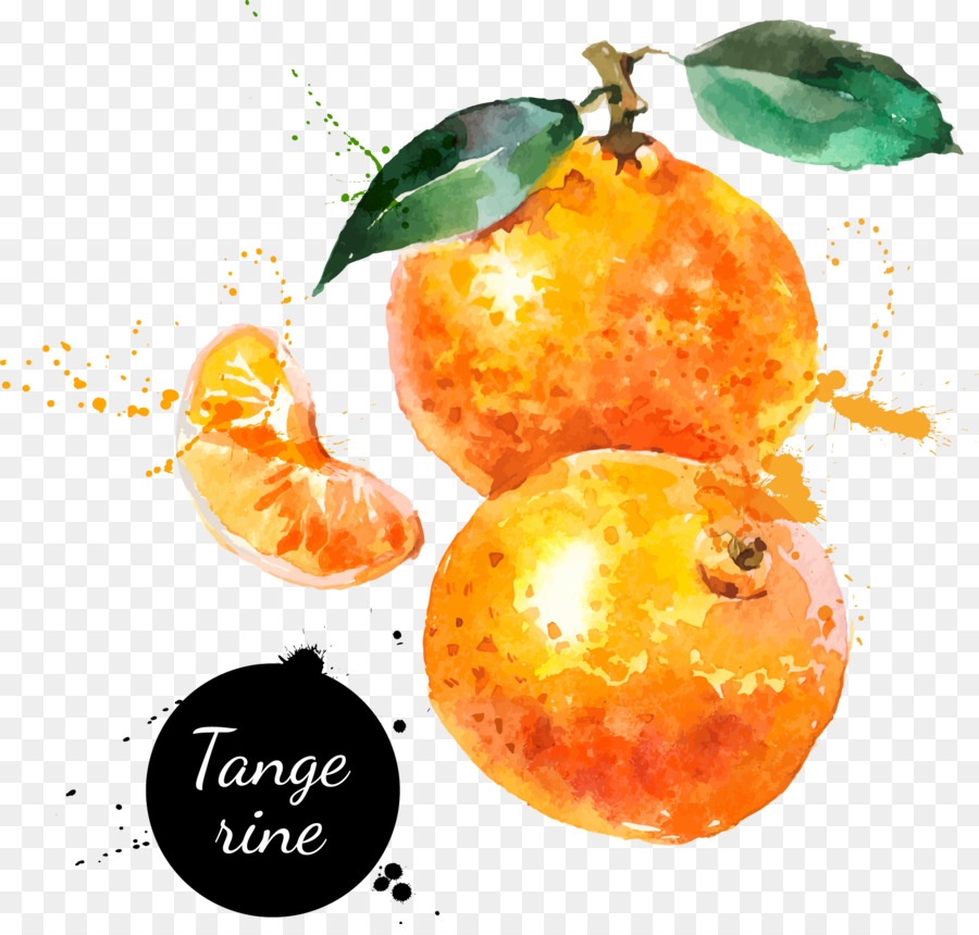 900x860 Watercolor Painting Drawing Tangerine - Orange Watercolor Painting