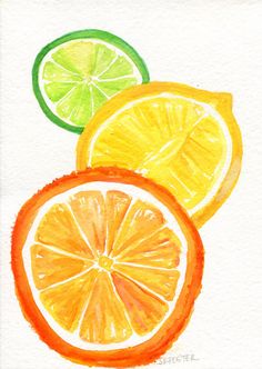 236x332 Citrus Watercolor Painting Cantaloupe, Grapefruit, Lemon, Orange - Orange Watercolor Painting