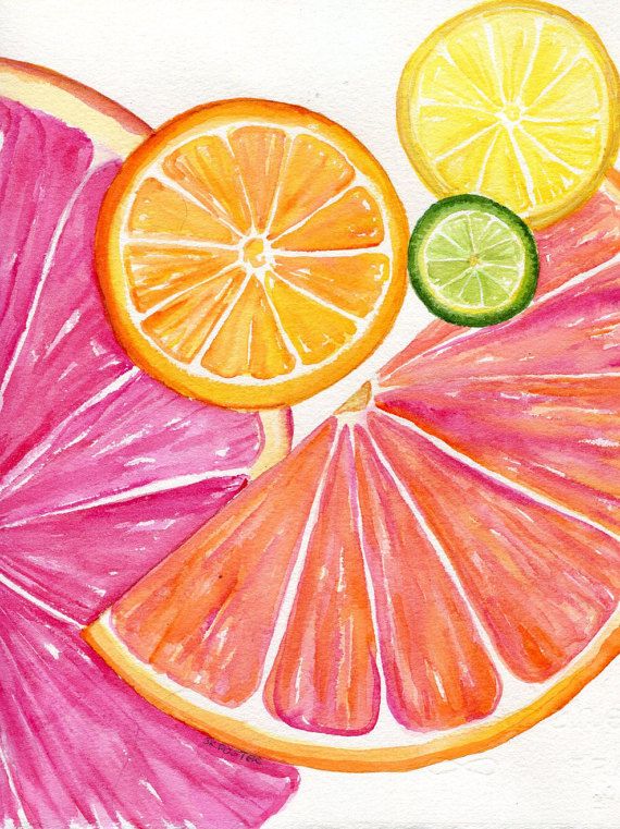 570x761 Citrus Watercolor Painting Original 8 X 10 Tutti Frutti Grapefruit - Orange Watercolor Painting
