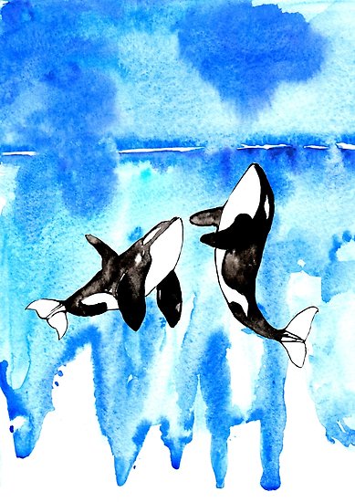 389x550 Orca, Watercolor Orca Posters By Rosaliartbook Redbubble - Orca Watercolor