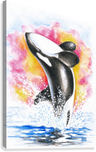 323x511 Breaching Orca Killer Whale Watercolor - Orca Watercolor